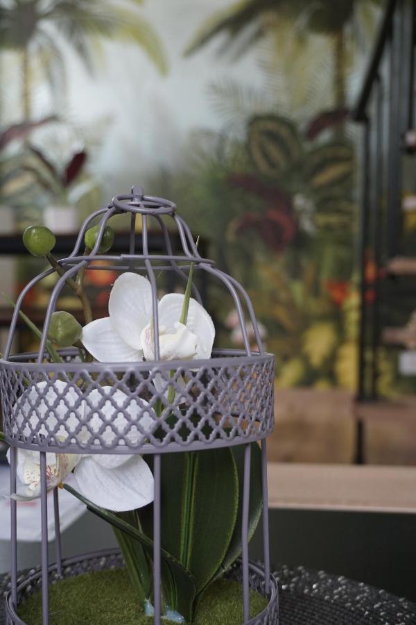 Appart Cosy 4 Personnes Avec Terrasse ลารอช-ซูร์-ยง ภายนอก รูปภาพ